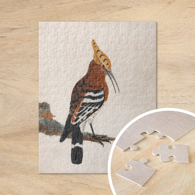 Common Hoopoe | William Lewin Jigsaw Puzzle (Creator Uploaded)