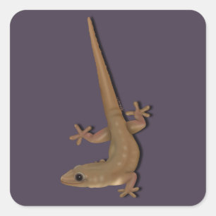 Common House Gecko Square Sticker