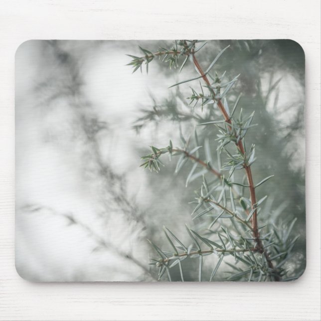 Common Juniper Nature Photograph Mouse Pad (Front)