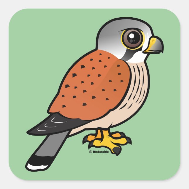 Common Kestrel Square Sticker (Front)