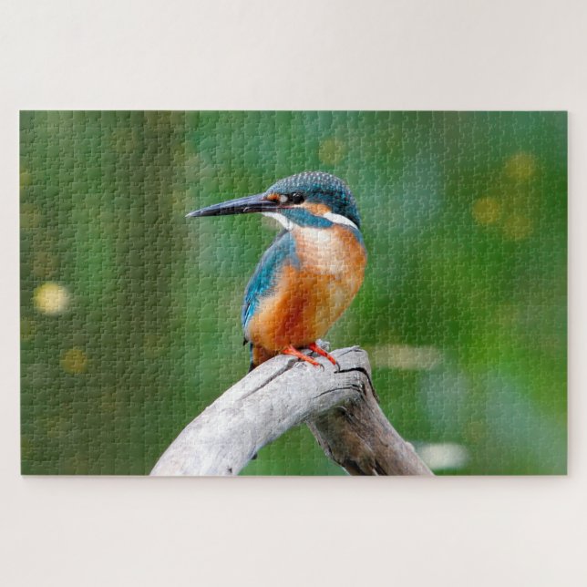 Common Kingfisher Bird Nature Jigsaw Puzzle (Horizontal)