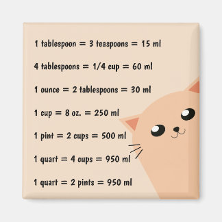 Common Kitchen Measurements Magnet