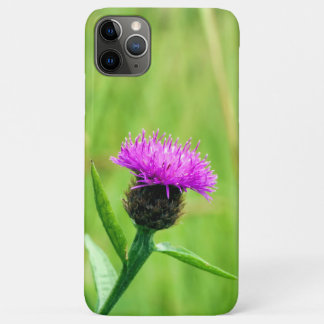 Common Knapweed  Case-Mate iPhone Case