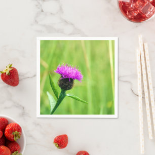 Common Knapweed Napkins