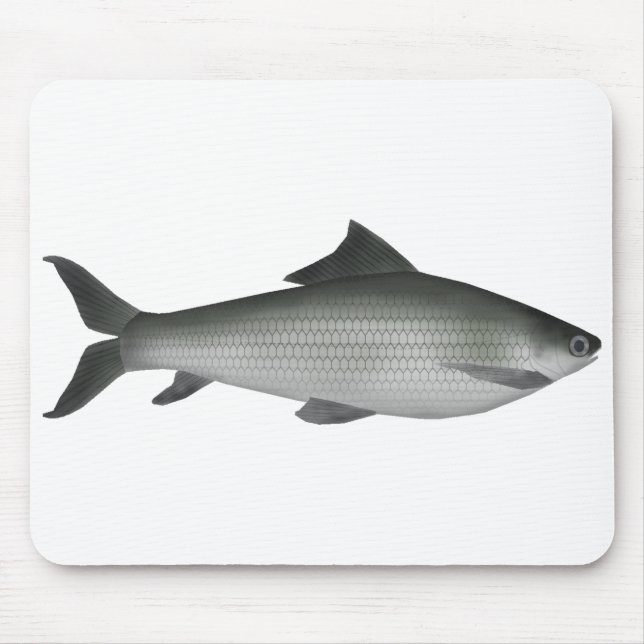 Common Labeo Mouse Pad (Front)