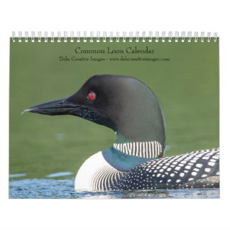 Common Loon 2026 Calendar