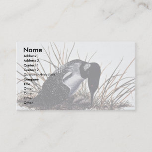 Common loon business card