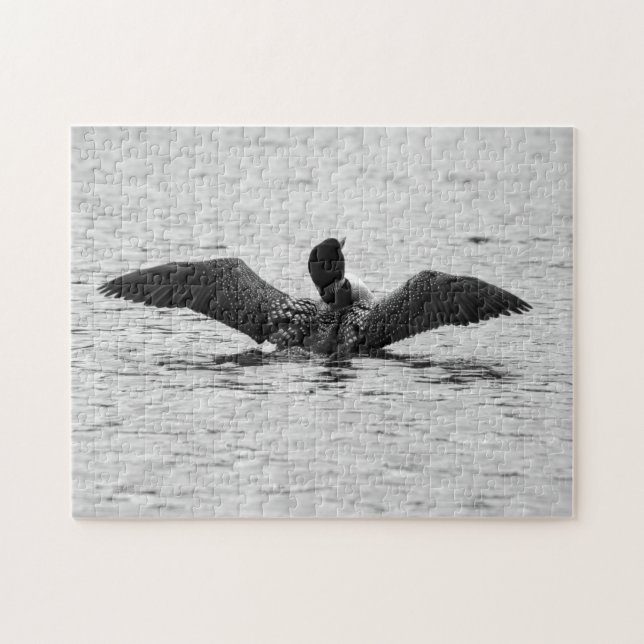 Common Loon Jigsaw Puzzles (Horizontal)