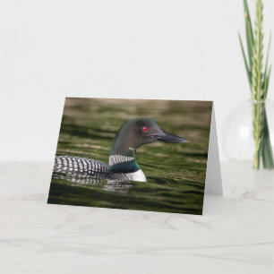 Common Loon on Jabe Pond Card