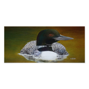 Common Loon Photo Print