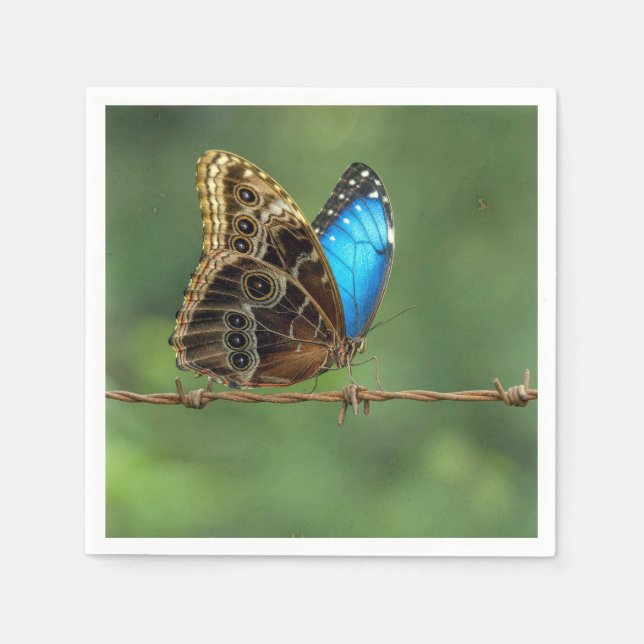 Common Morpho Butterfly on Barbed Wire Napkin (Front)