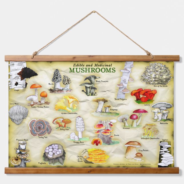 Common Names -Tapestry Mushrooms  Hanging Tapestry (Front)