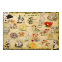 Common names-Wood Wall Art Mushrooms
