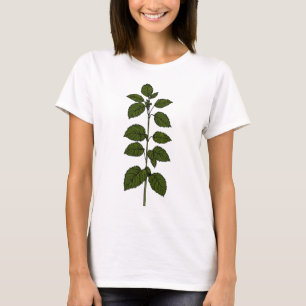 Common Nettle Botanical T-Shirt