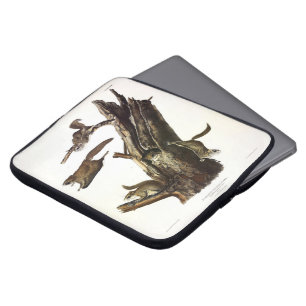 Common or Southern Flying Squirrel, or The Assapan Laptop Sleeve