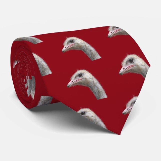 Common ostrich tie (Rolled)