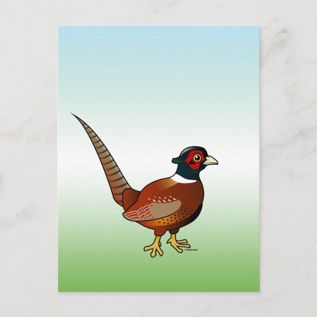 Common Pheasant Postcard (Front)