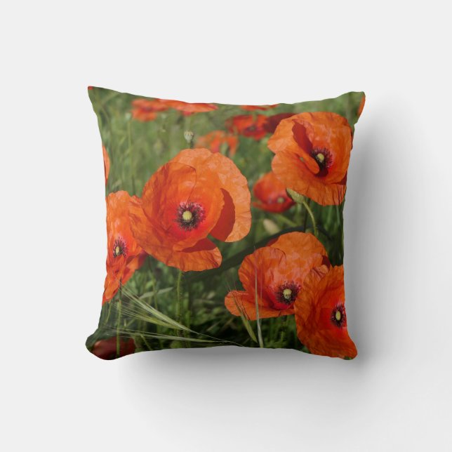Common Poppies  Cushion (Front)