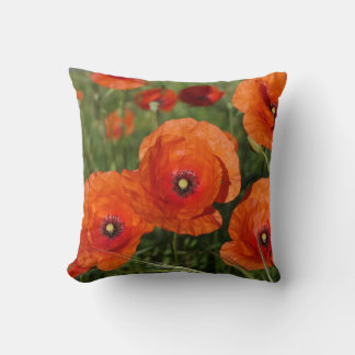 Common Poppies  Cushion