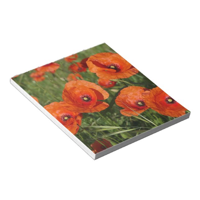 Common Poppies  Notepad (Angled)
