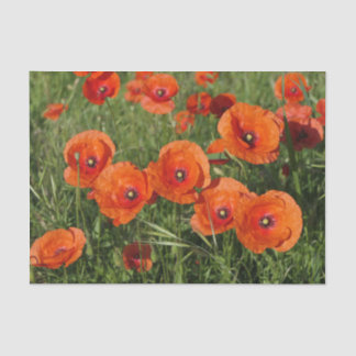 Common Poppies Tissue Paper