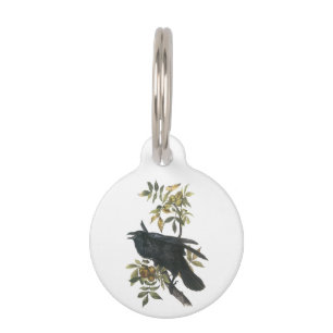 Common Raven by Audubon Pet Tag