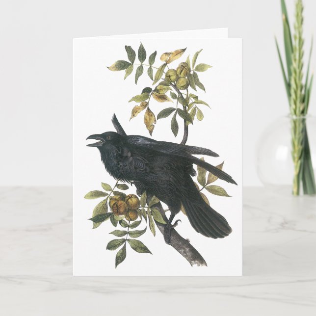 Common Raven, John audubon Card (Front)