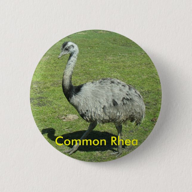 Common Rhea button (Front)