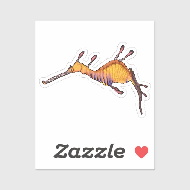 Common sea dragon vector illustration (Sheet)