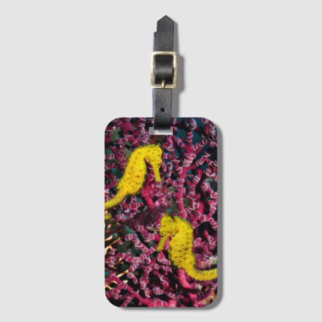 Common Sea Horse | Hippocampus Taeniopterus Luggage Tag (Front Vertical)