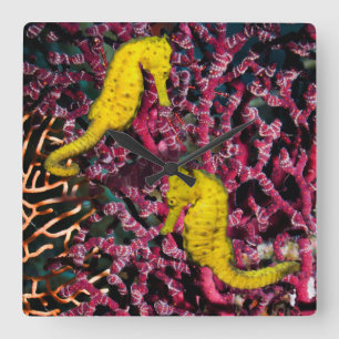 Common Sea Horse Hippocampus Taeniopterus Square Wall Clock