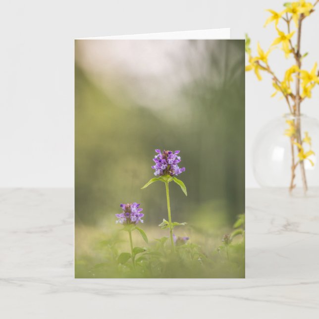 Common Self-Heal Nature Photo Card (Yellow Flower)
