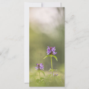 Common Self-Heal Nature Photo Card