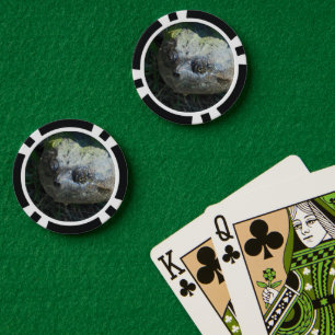 Common Snapper Turtle  Poker Chips