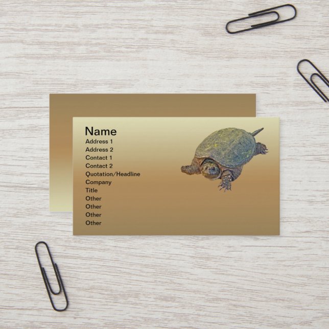 Common Snapping Turtle - Chelydra serpentina Business Card (Front/Back In Situ)