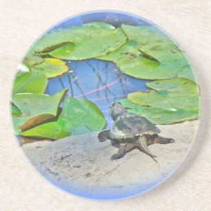Common Snapping Turtle - Chelydra serpentina Coaster