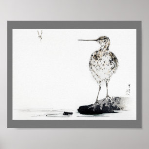 Common Snipe Bird, Watanabe Seitei Poster