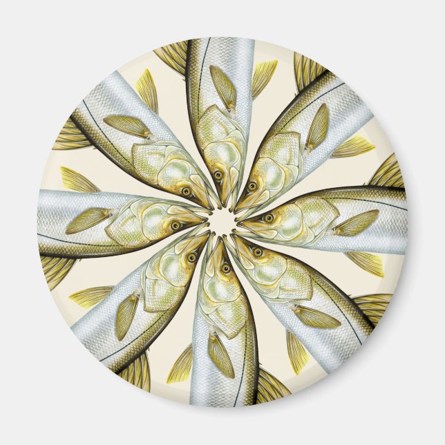 Common Snook Magnet (Front)