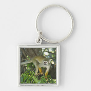 Common Squirrel Monkey, (Saimiri sciureus), Rio Key Ring
