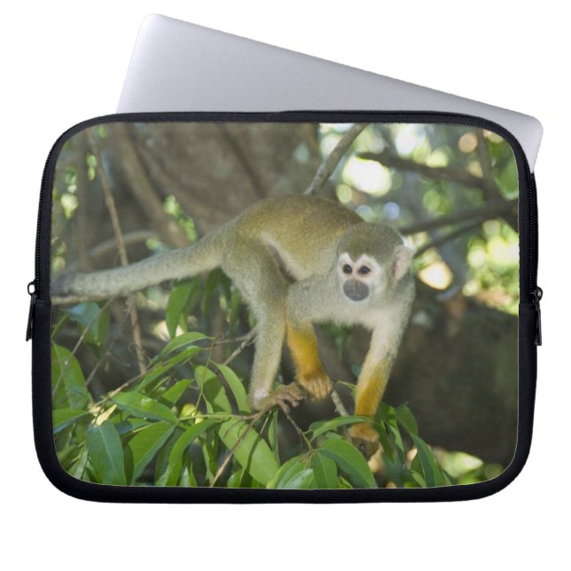 Common Squirrel Monkey, (Saimiri sciureus), Rio Laptop Sleeve (Front)