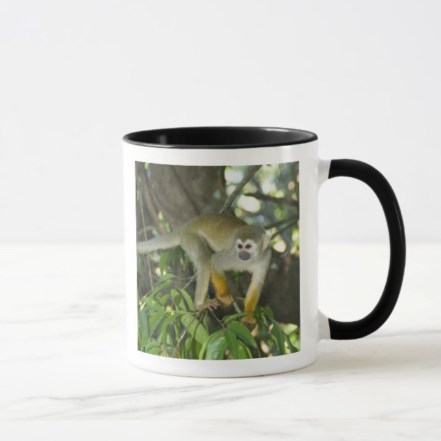 Common Squirrel Monkey, (Saimiri sciureus), Rio Mug (Right)