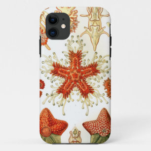Common Starfish Designs Case-Mate iPhone Case
