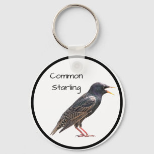 Common Starling Key Ring