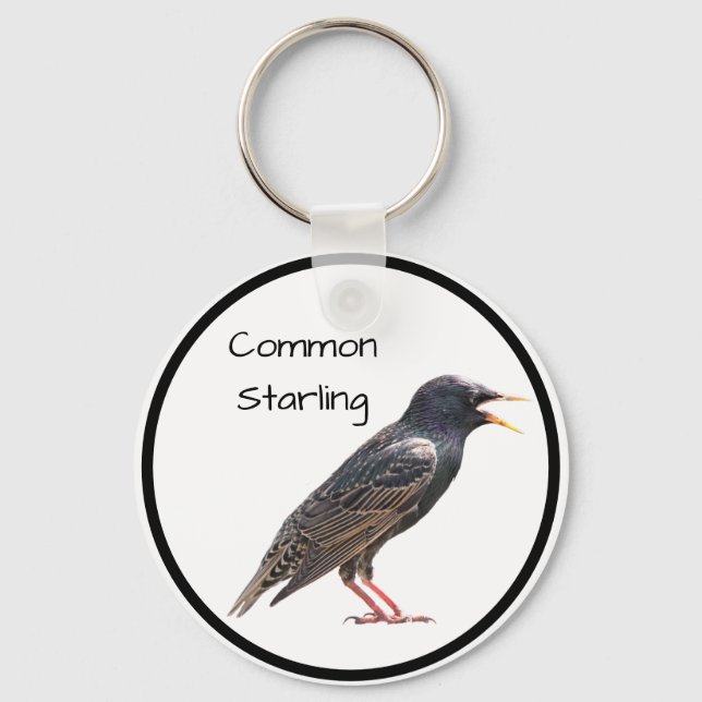 Common Starling Key Ring (Front)