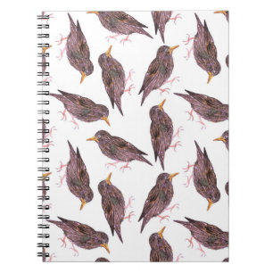 Common starling or European starling birds Notebook