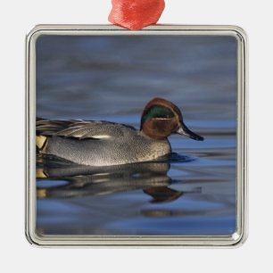 Common Teal, Anus crecca, male, Unterlunkhofen, Metal Tree Decoration