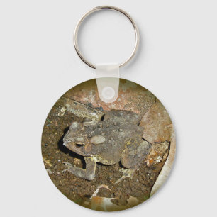 Common Toad Coordinating Items Key Ring