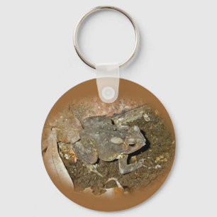 Common Toad Coordinating Items Key Ring