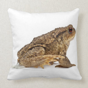 Common toad or European toad (Bufo bufo) pissing Cushion