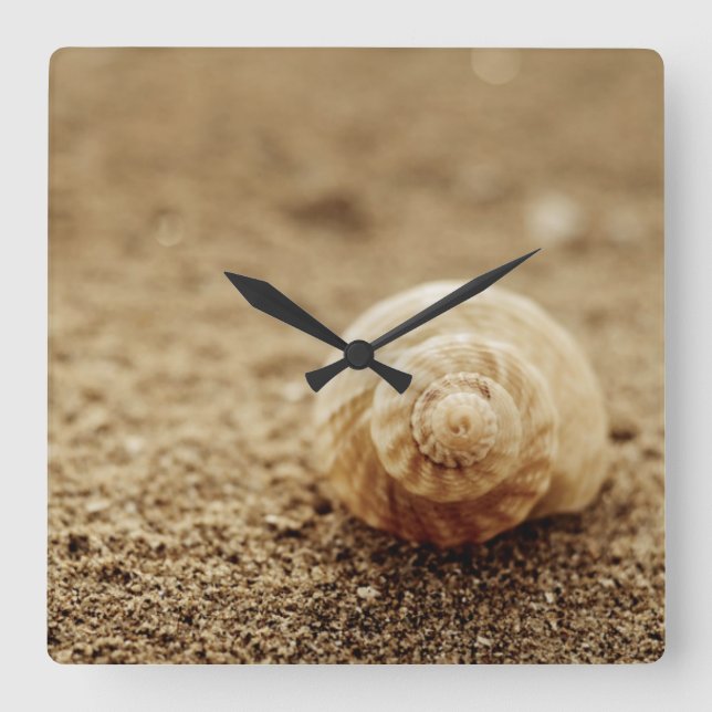 Common Whelk | Botany Bay Square Wall Clock (Front)